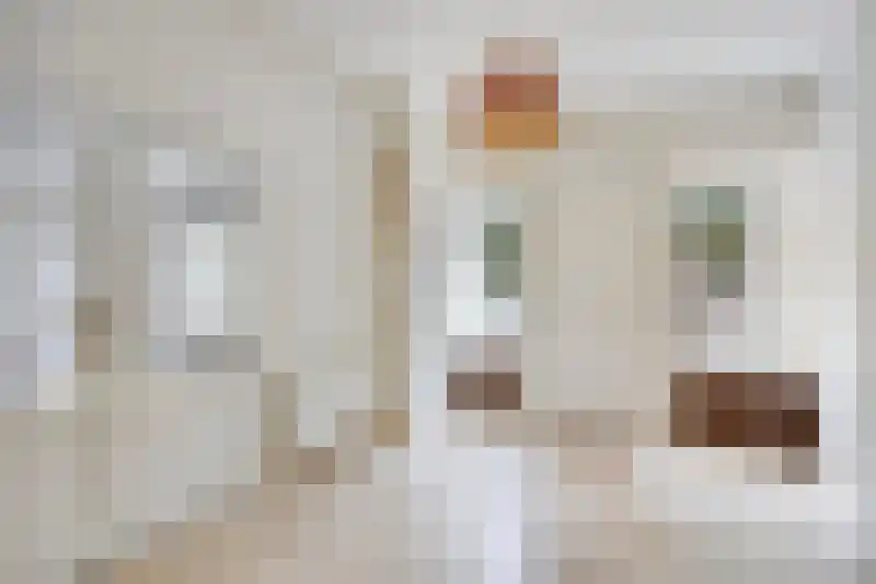 Duivenstraat 9 Mheer thumbnail 10