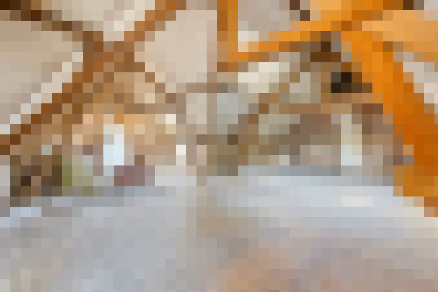 Duivenstraat 9 Mheer thumbnail 34