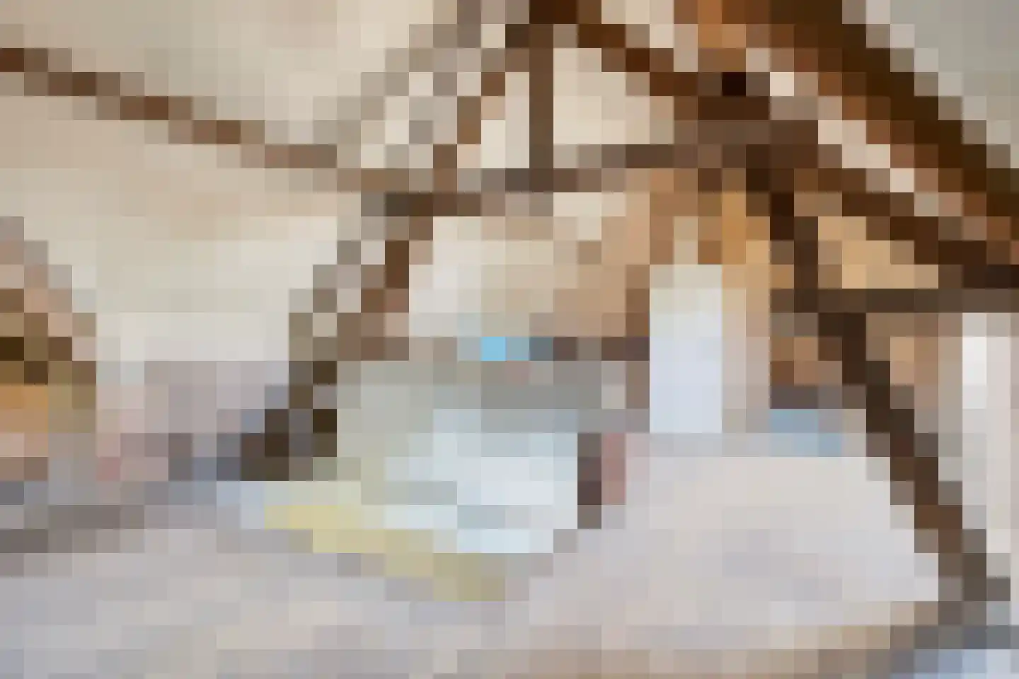 Duivenstraat 9 Mheer thumbnail 36