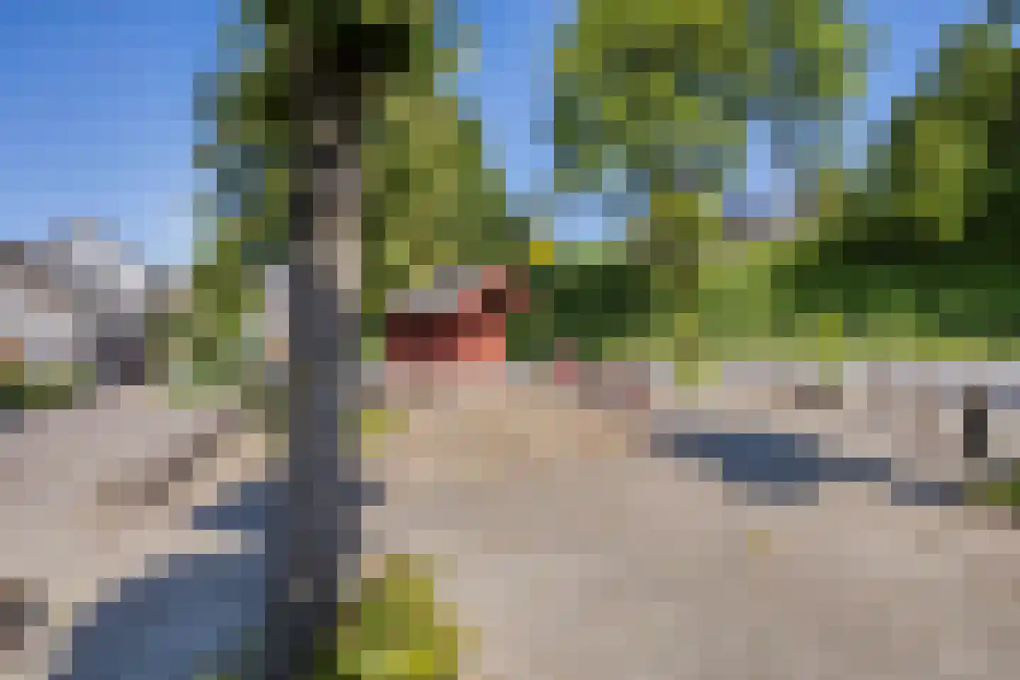 Duivenstraat 9 Mheer thumbnail 42