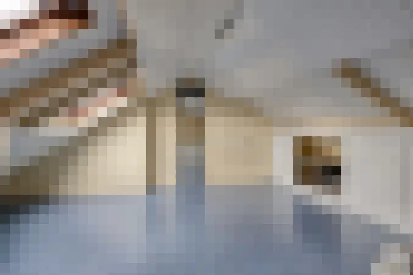 Duiventoren 107 Oudenbosch thumbnail 34