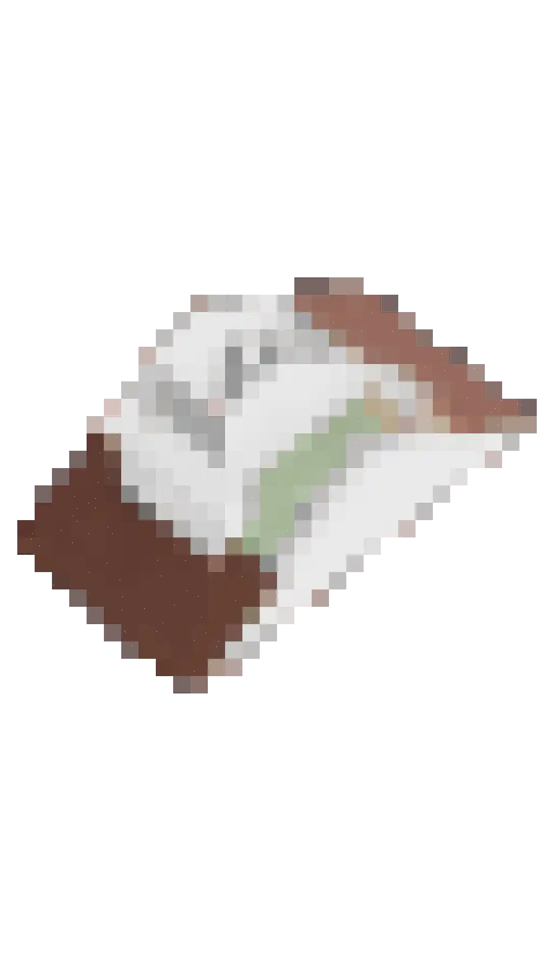 Duiventoren 121 Oudenbosch thumbnail 49