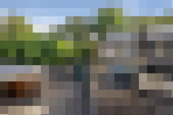 Duiventoren 197 Oudenbosch thumbnail 7