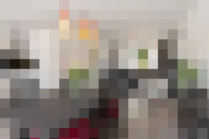 Duiventoren 88 Oudenbosch thumbnail 10