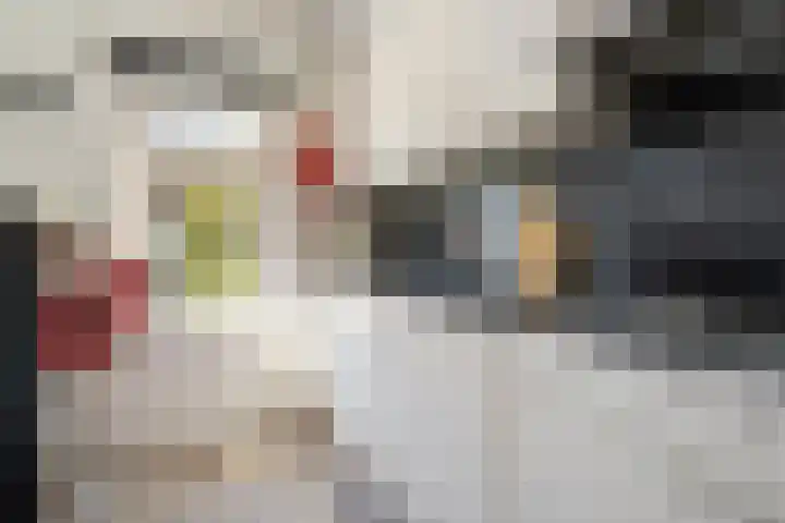 Duiventoren 88 Oudenbosch thumbnail 12