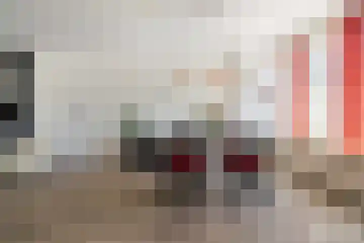 Duiventoren 88 Oudenbosch thumbnail 15