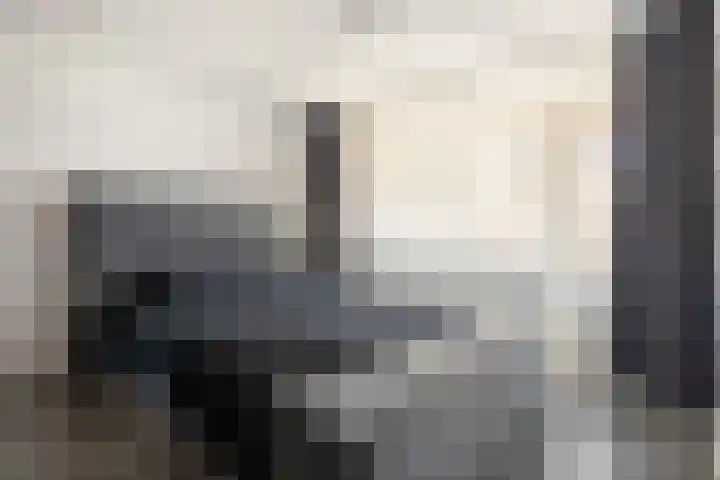 Duiventoren 88 Oudenbosch thumbnail 18