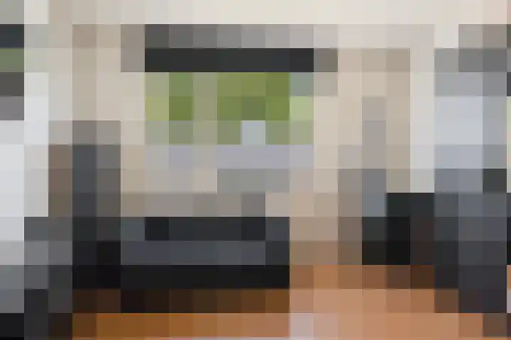 Duiventoren 88 Oudenbosch thumbnail 21