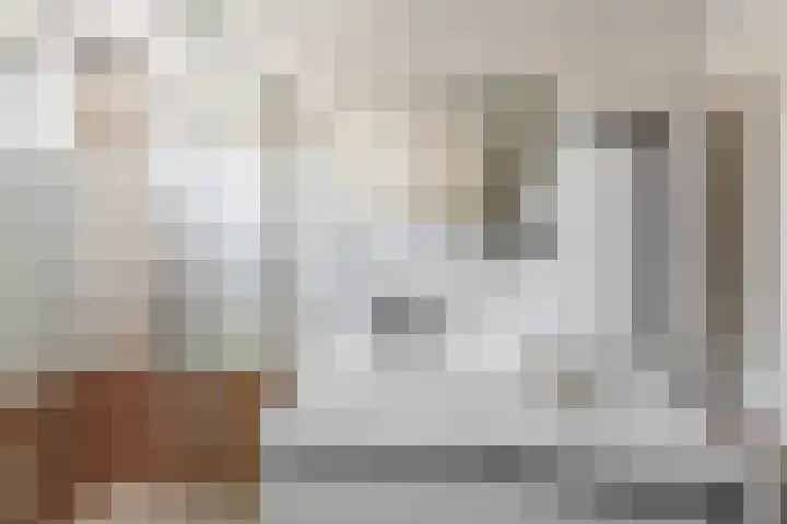 Duiventoren 88 Oudenbosch thumbnail 26
