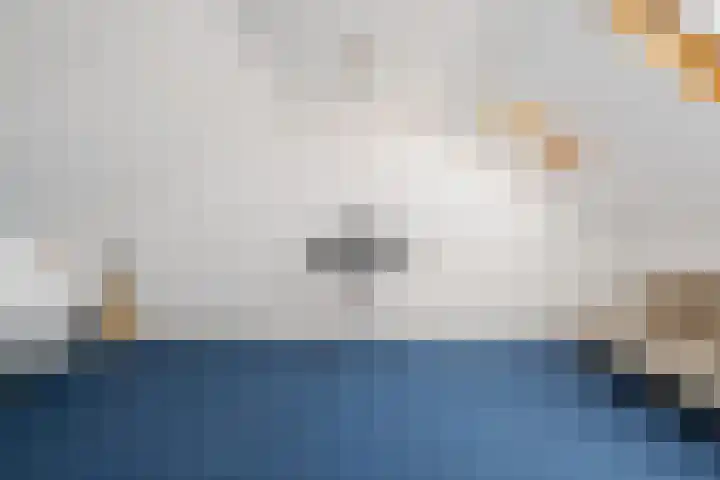 Duiventoren 88 Oudenbosch thumbnail 27