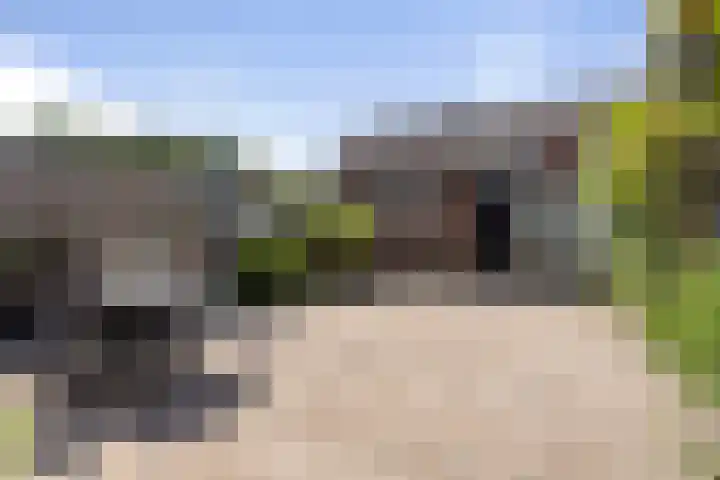 Duiventoren 88 Oudenbosch thumbnail 30