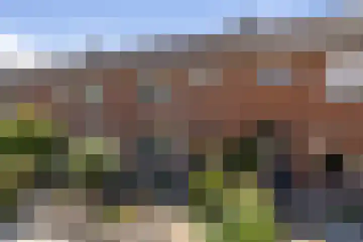 Duiventoren 88 Oudenbosch thumbnail 32