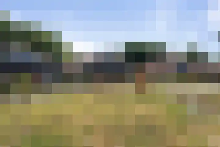 Duiventoren 88 Oudenbosch thumbnail 33