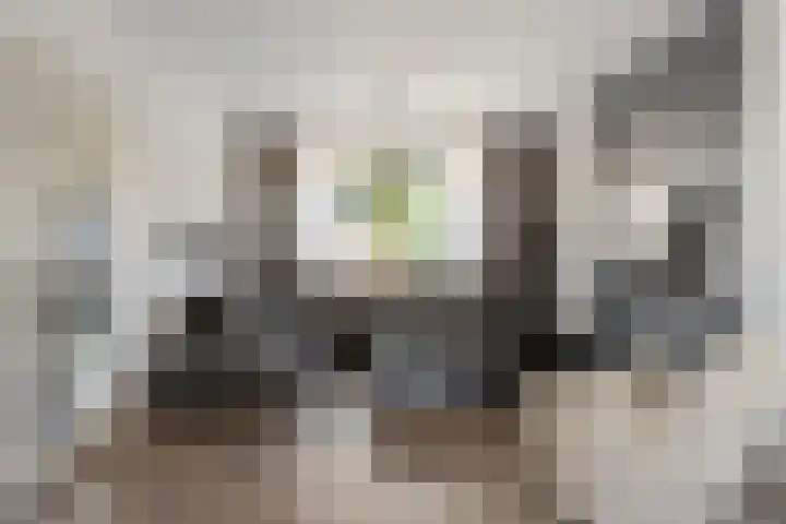 Duiventoren 88 Oudenbosch thumbnail 6