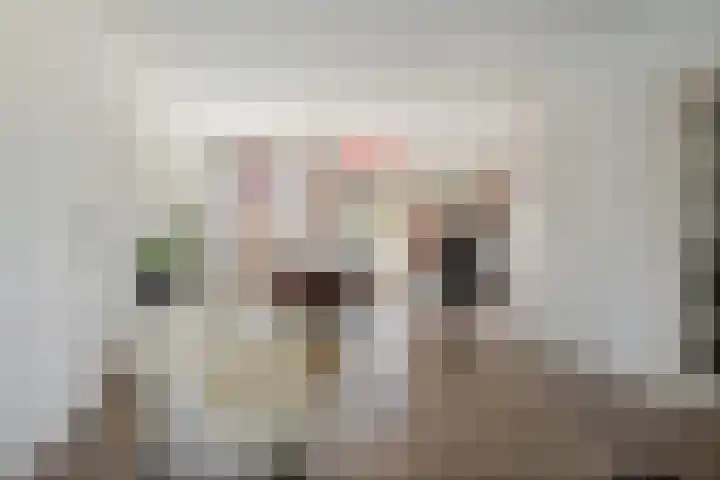 Duiventoren 88 Oudenbosch thumbnail 7