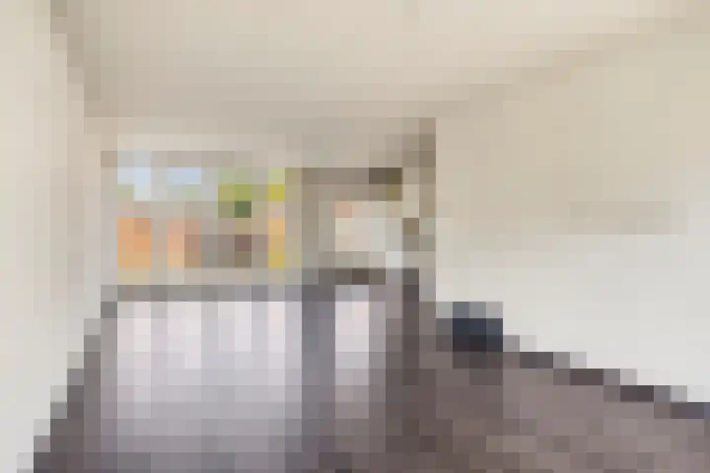 Duiventoren 96 Oudenbosch thumbnail 11