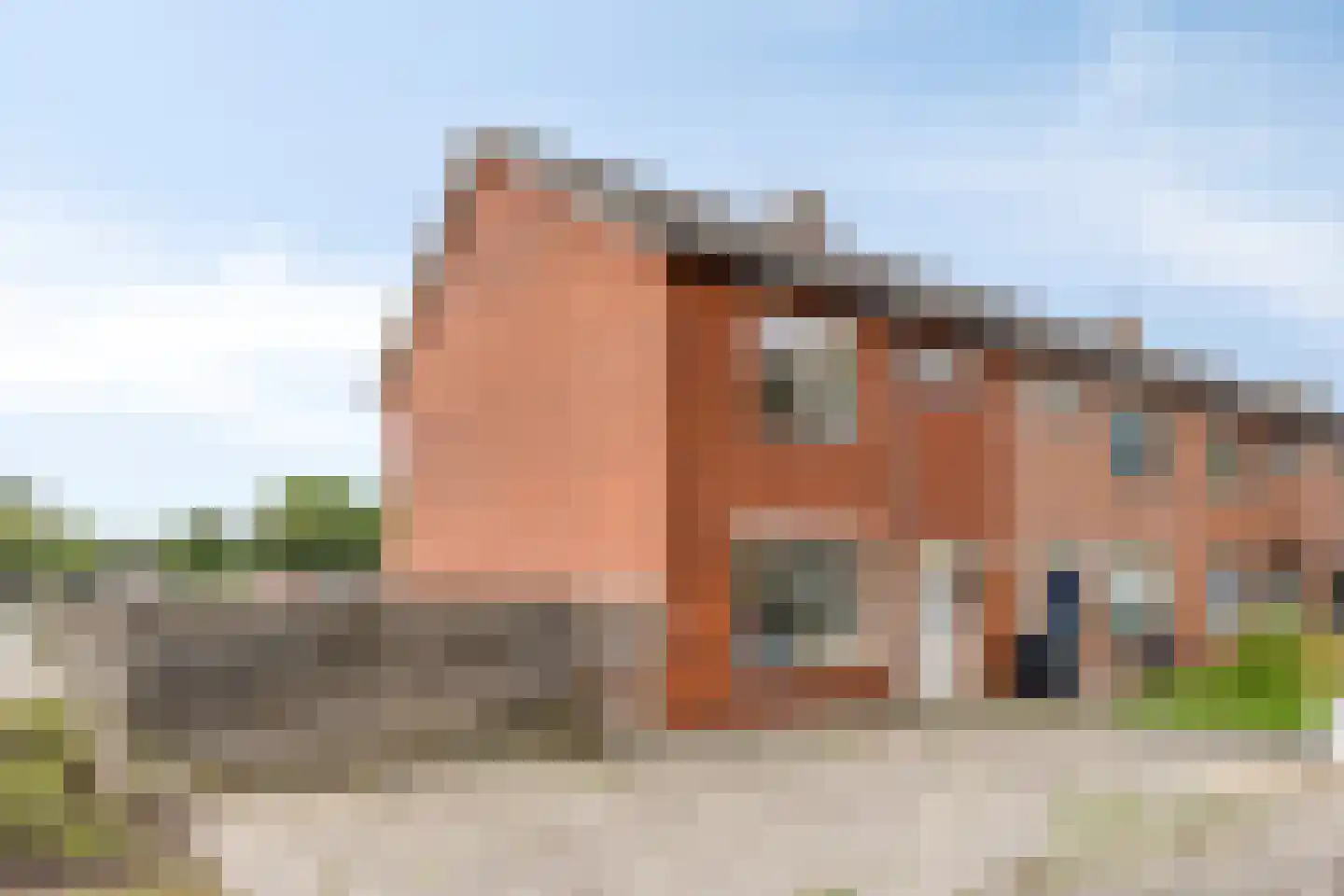 Duiventoren 96 Oudenbosch thumbnail 38