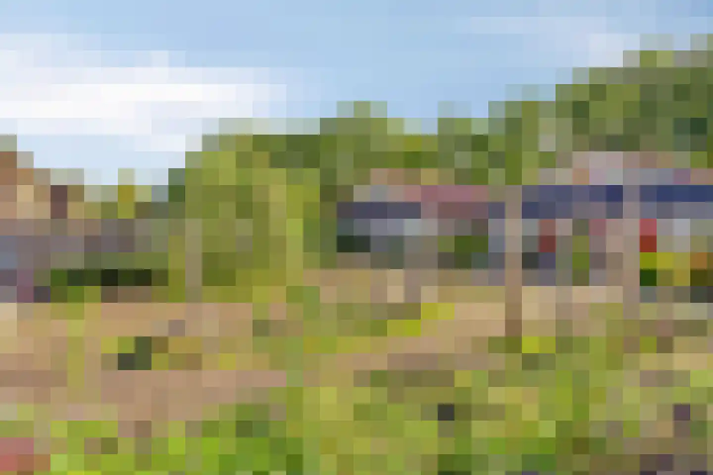Duiventoren 96 Oudenbosch thumbnail 40