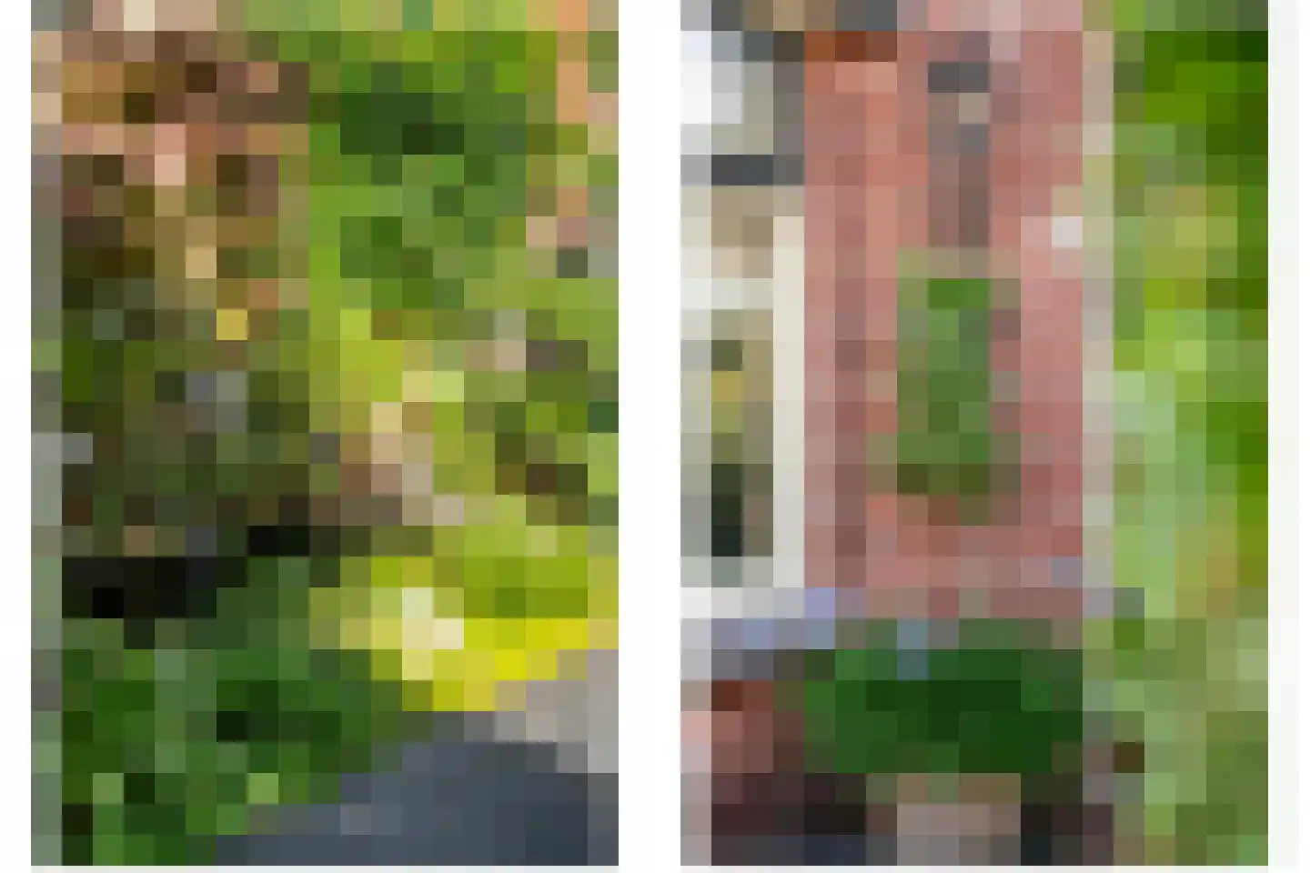 Duiventorenstraat 12 Naaldwijk thumbnail 13