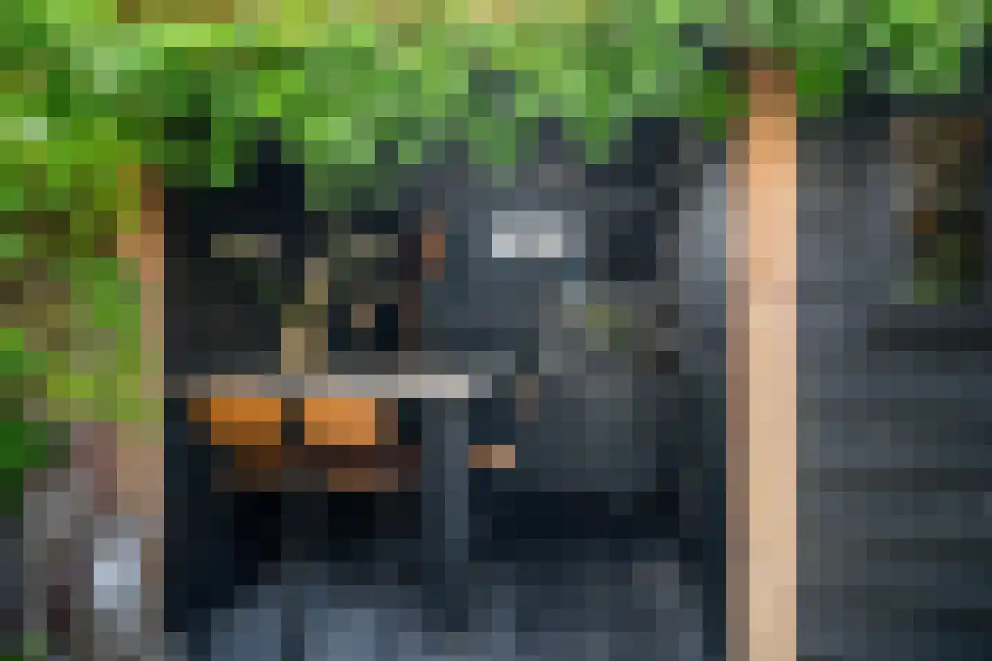 Duiventorenstraat 12 Naaldwijk thumbnail 14