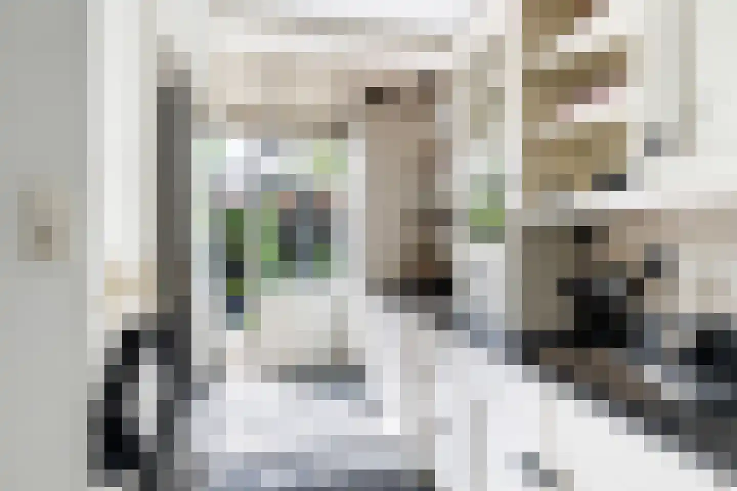 Duiventorenstraat 12 Naaldwijk thumbnail 18