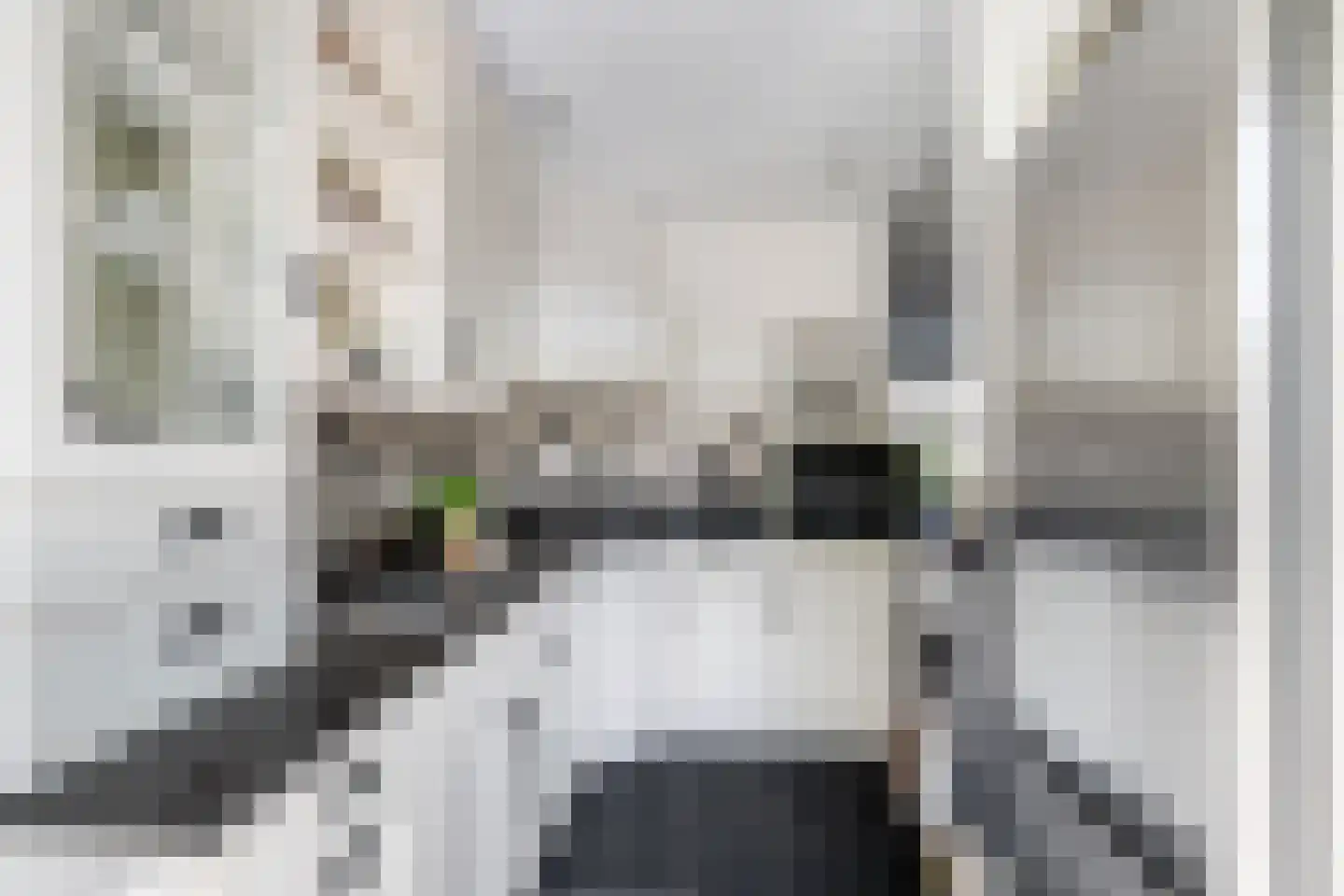 Duiventorenstraat 12 Naaldwijk thumbnail 19
