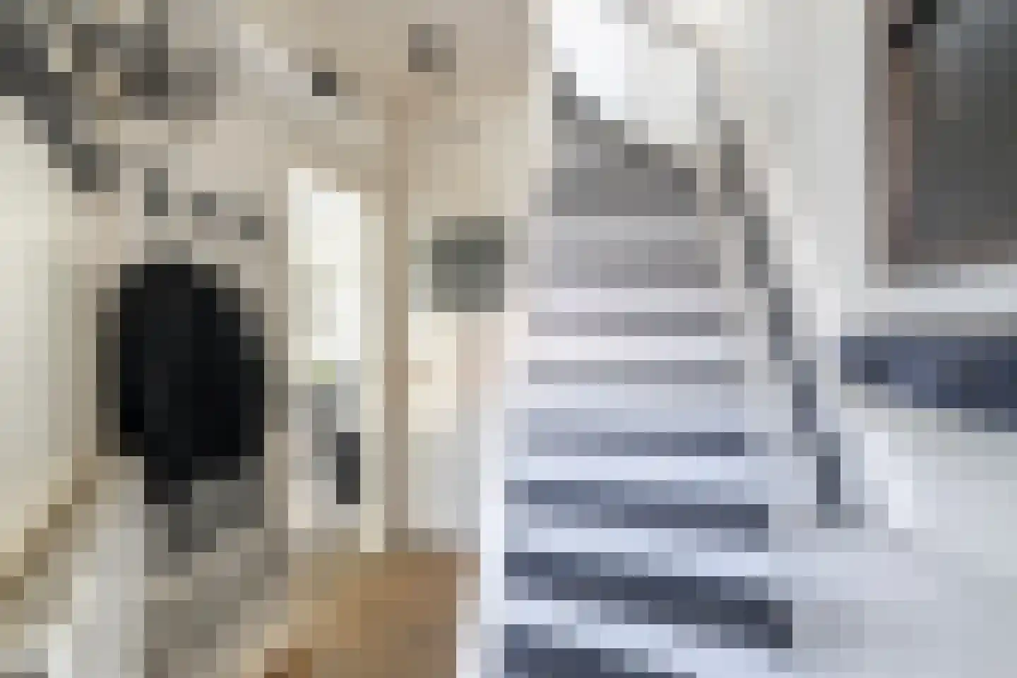 Duiventorenstraat 12 Naaldwijk thumbnail 22
