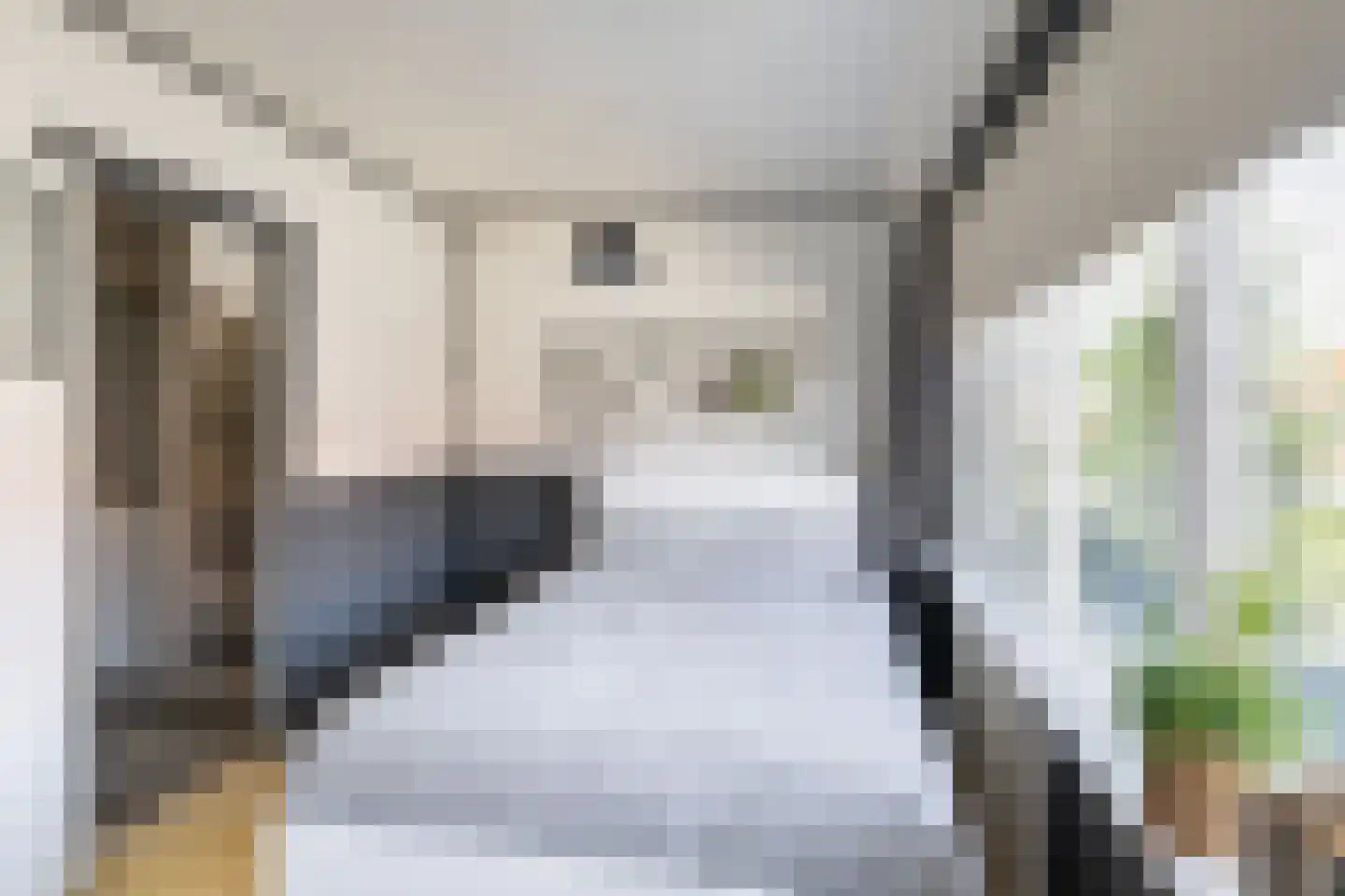Duiventorenstraat 12 Naaldwijk thumbnail 24