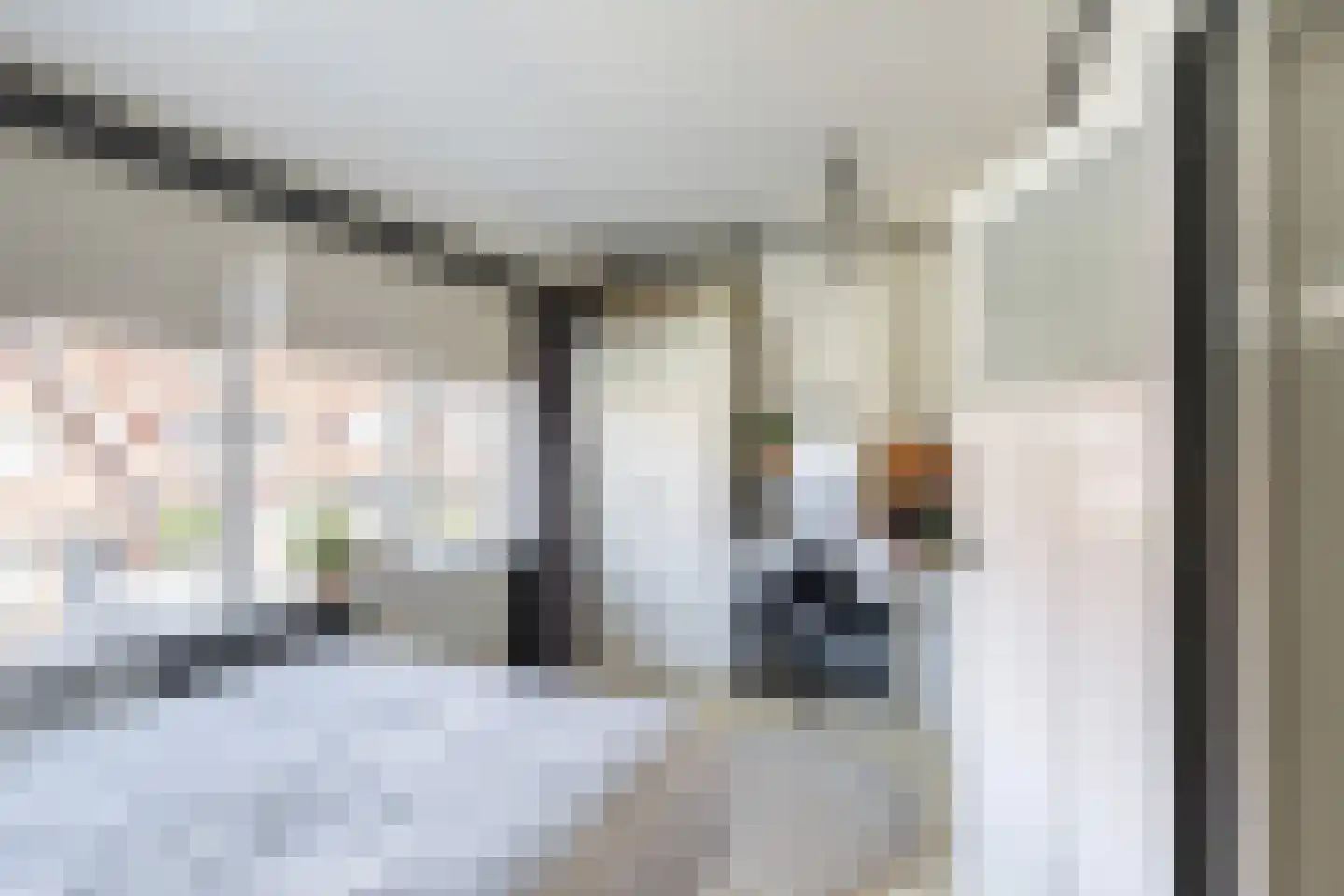 Duiventorenstraat 12 Naaldwijk thumbnail 26