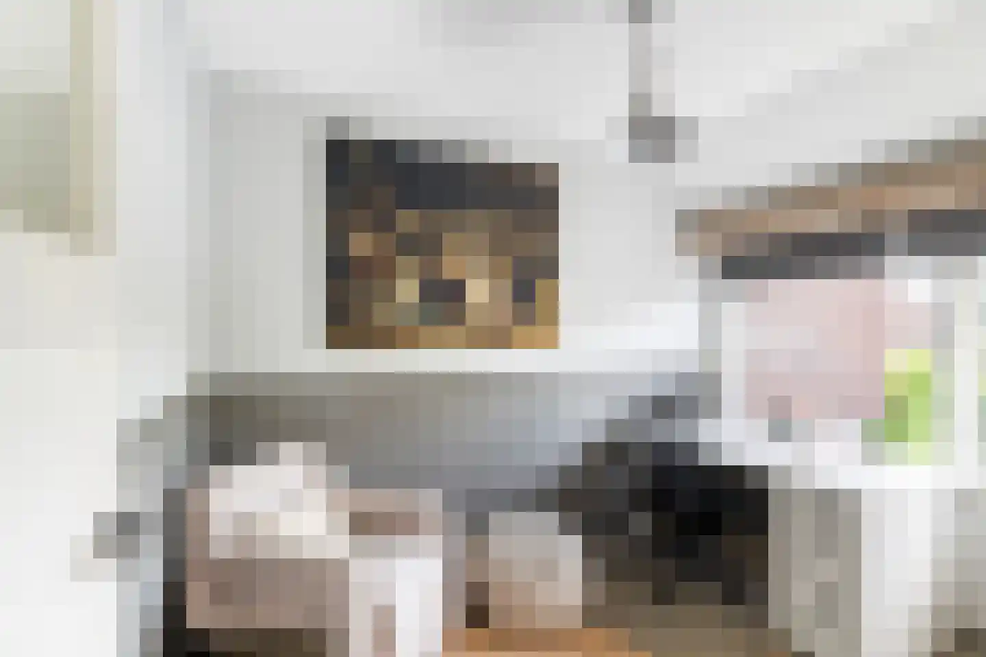 Duiventorenstraat 12 Naaldwijk thumbnail 29