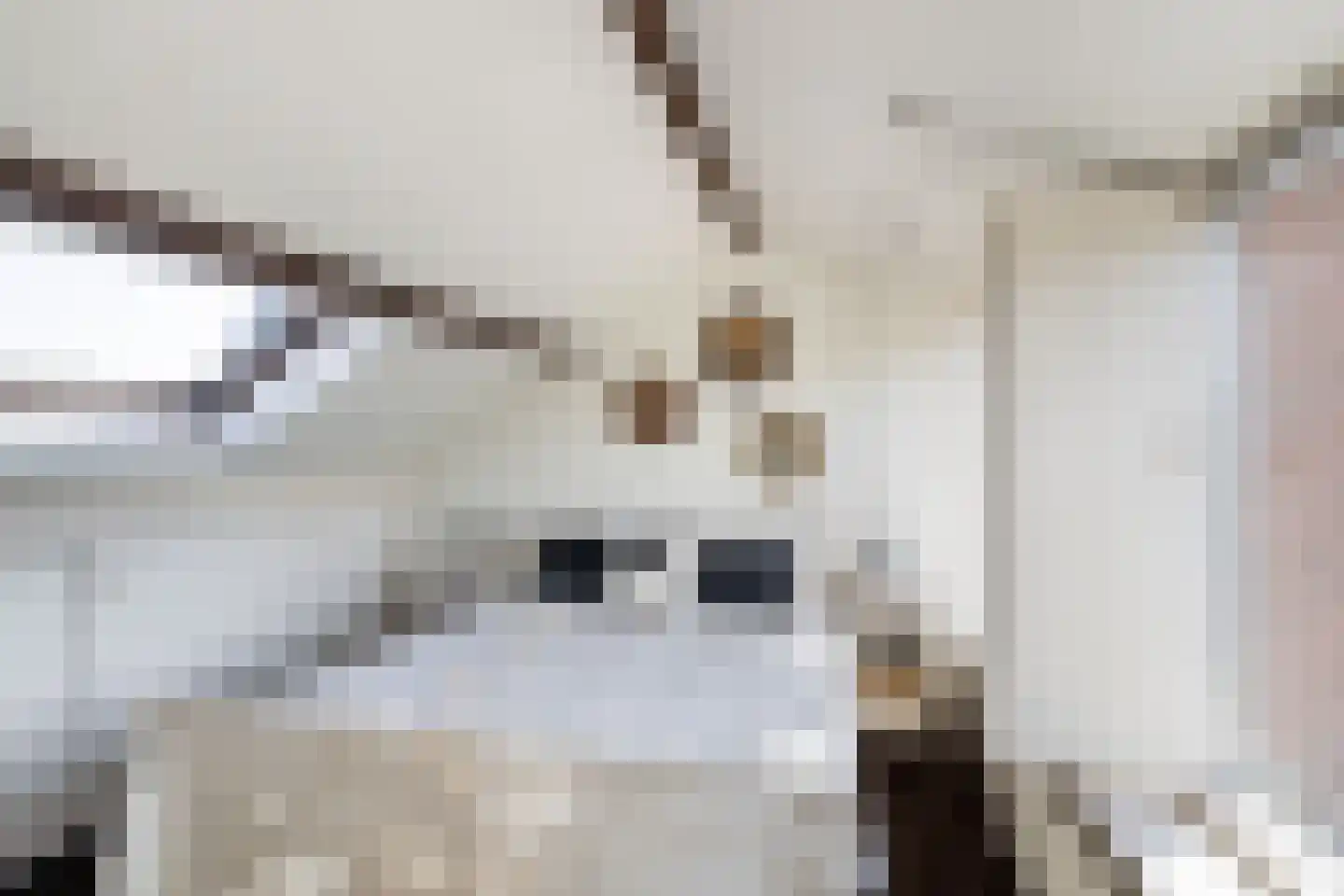 Duiventorenstraat 12 Naaldwijk thumbnail 33