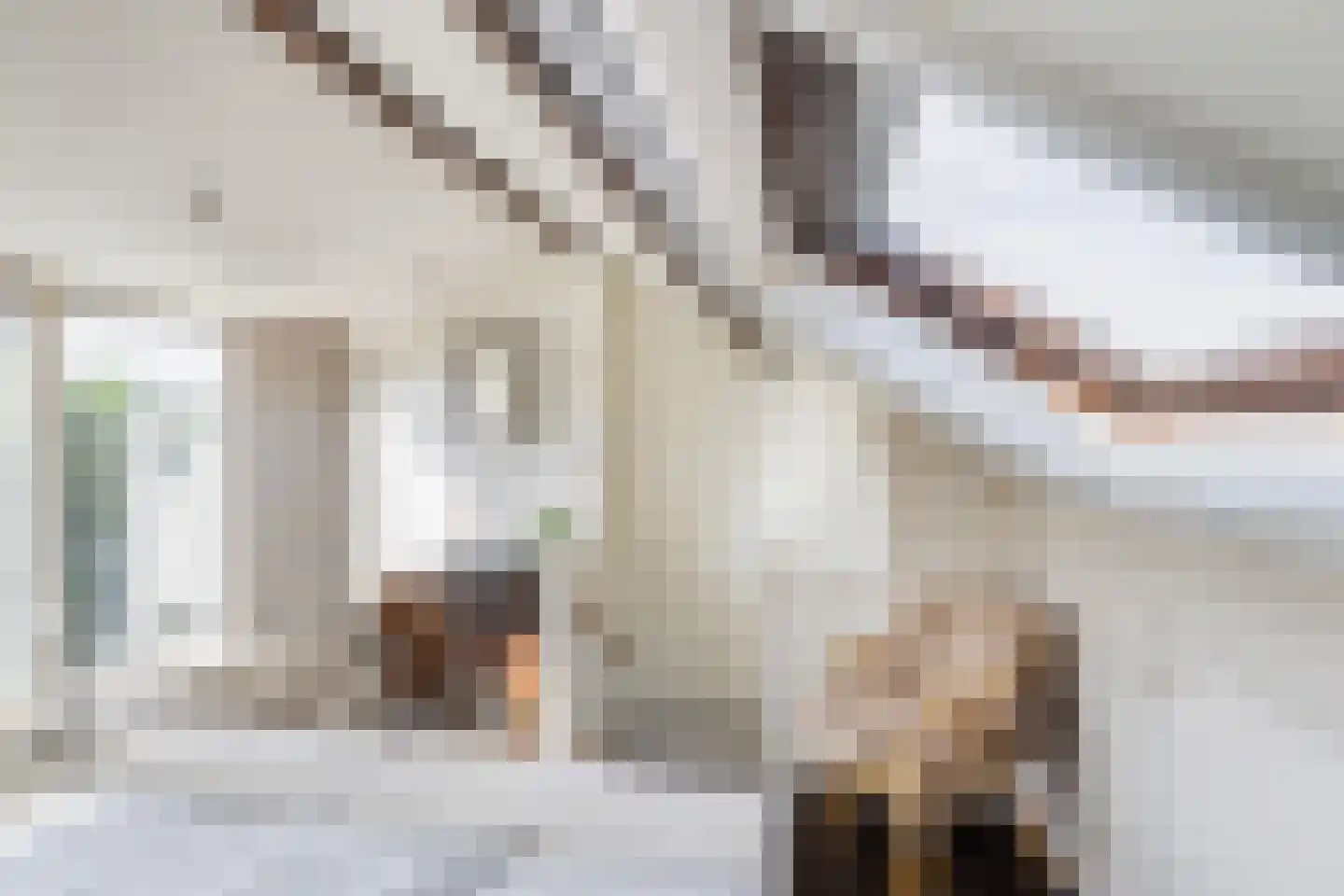 Duiventorenstraat 12 Naaldwijk thumbnail 35