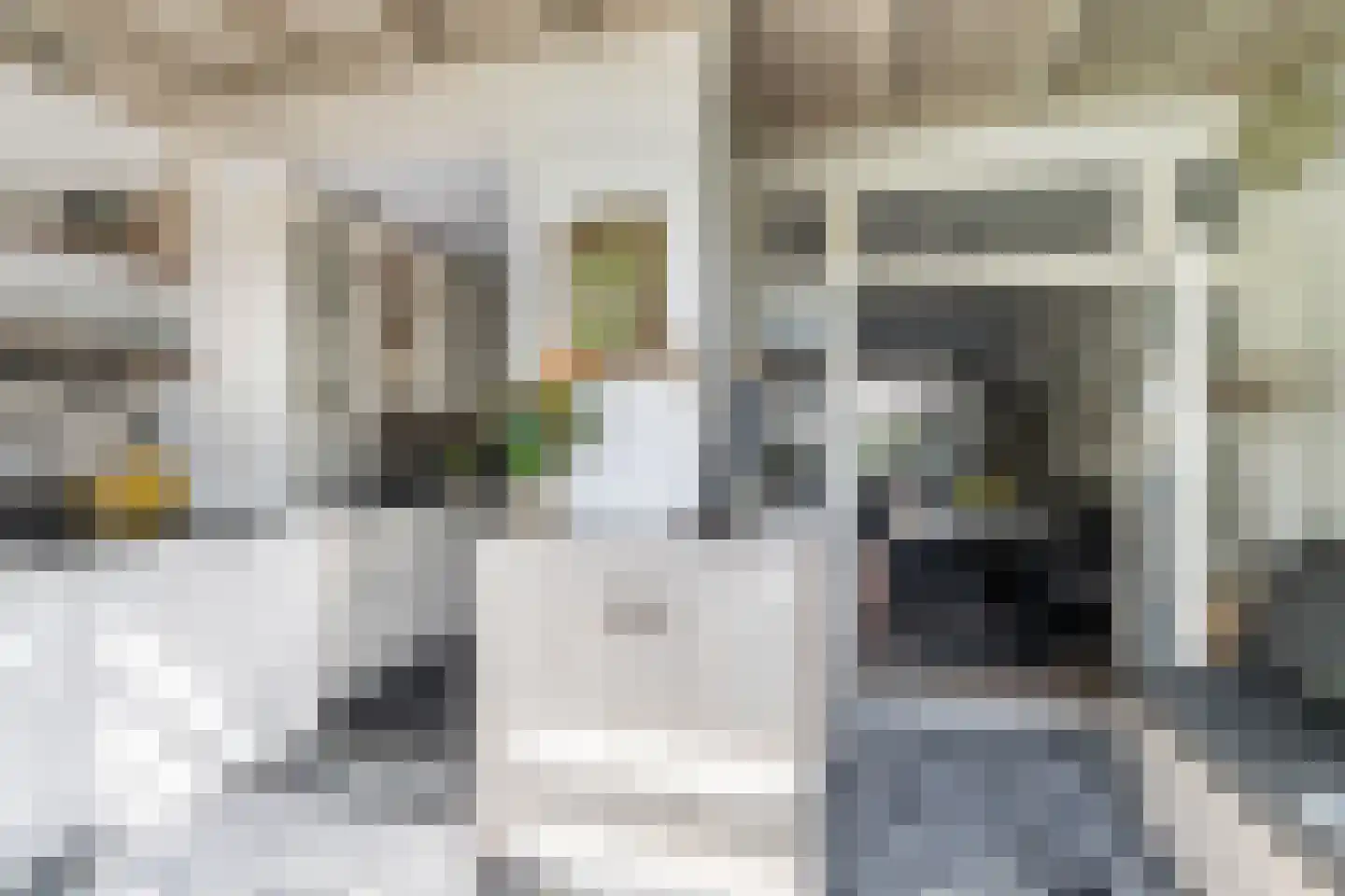 Duiventorenstraat 12 Naaldwijk thumbnail 4