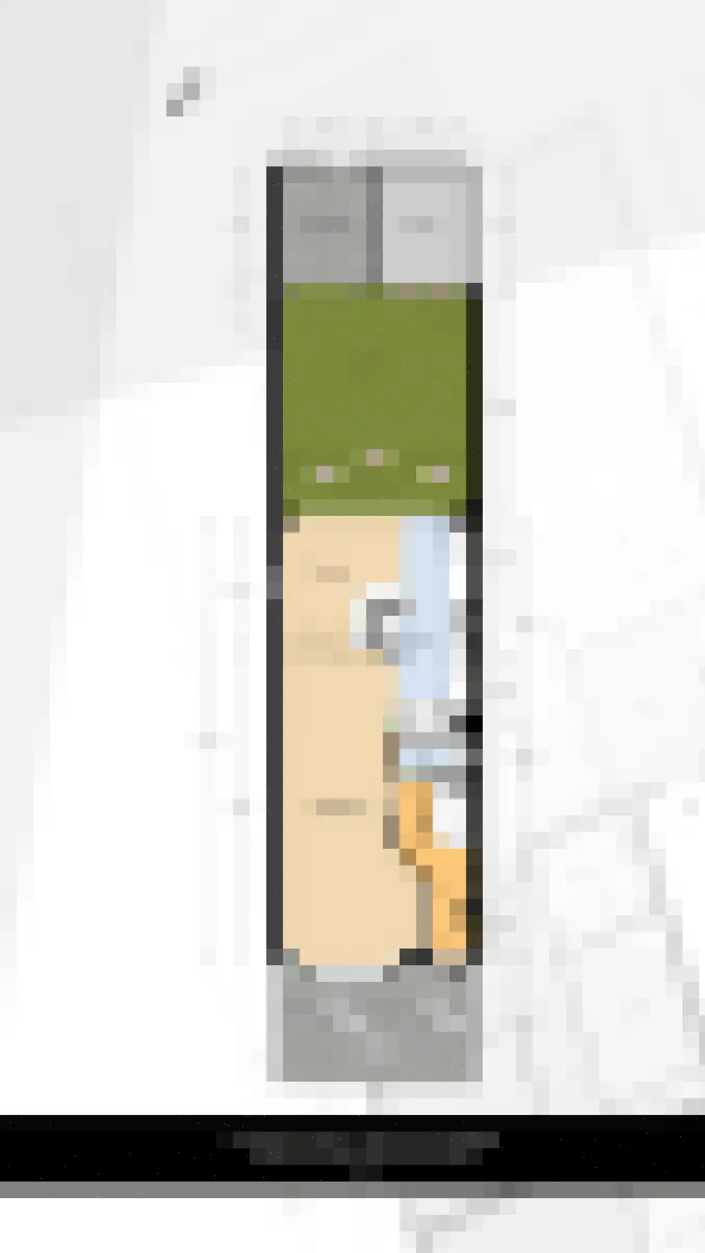 Duiventorenstraat 12 Naaldwijk thumbnail 43