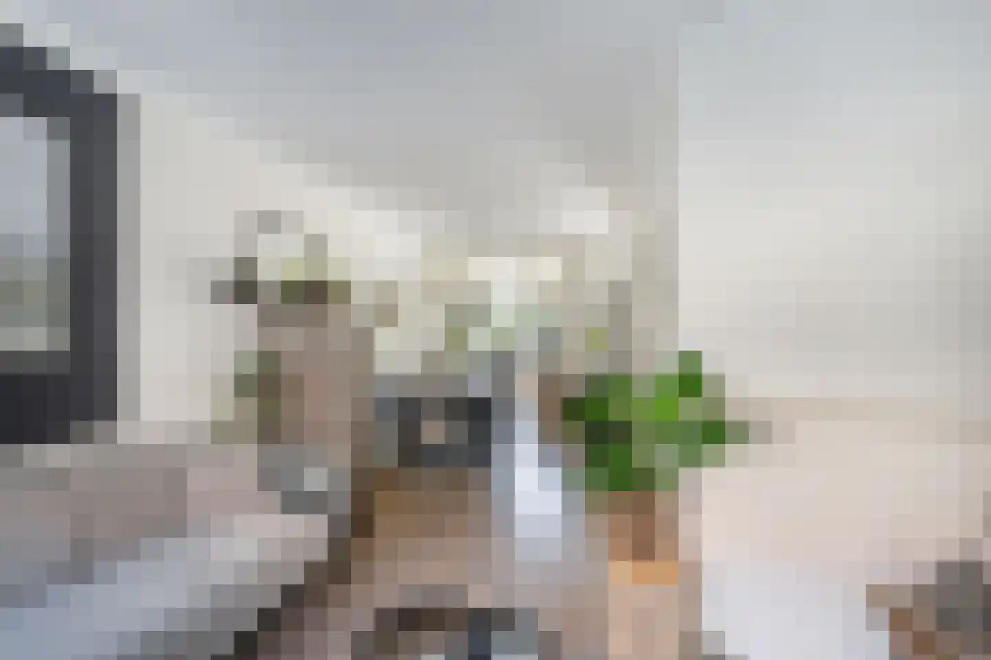 Duiventorenstraat 12 Naaldwijk thumbnail 6