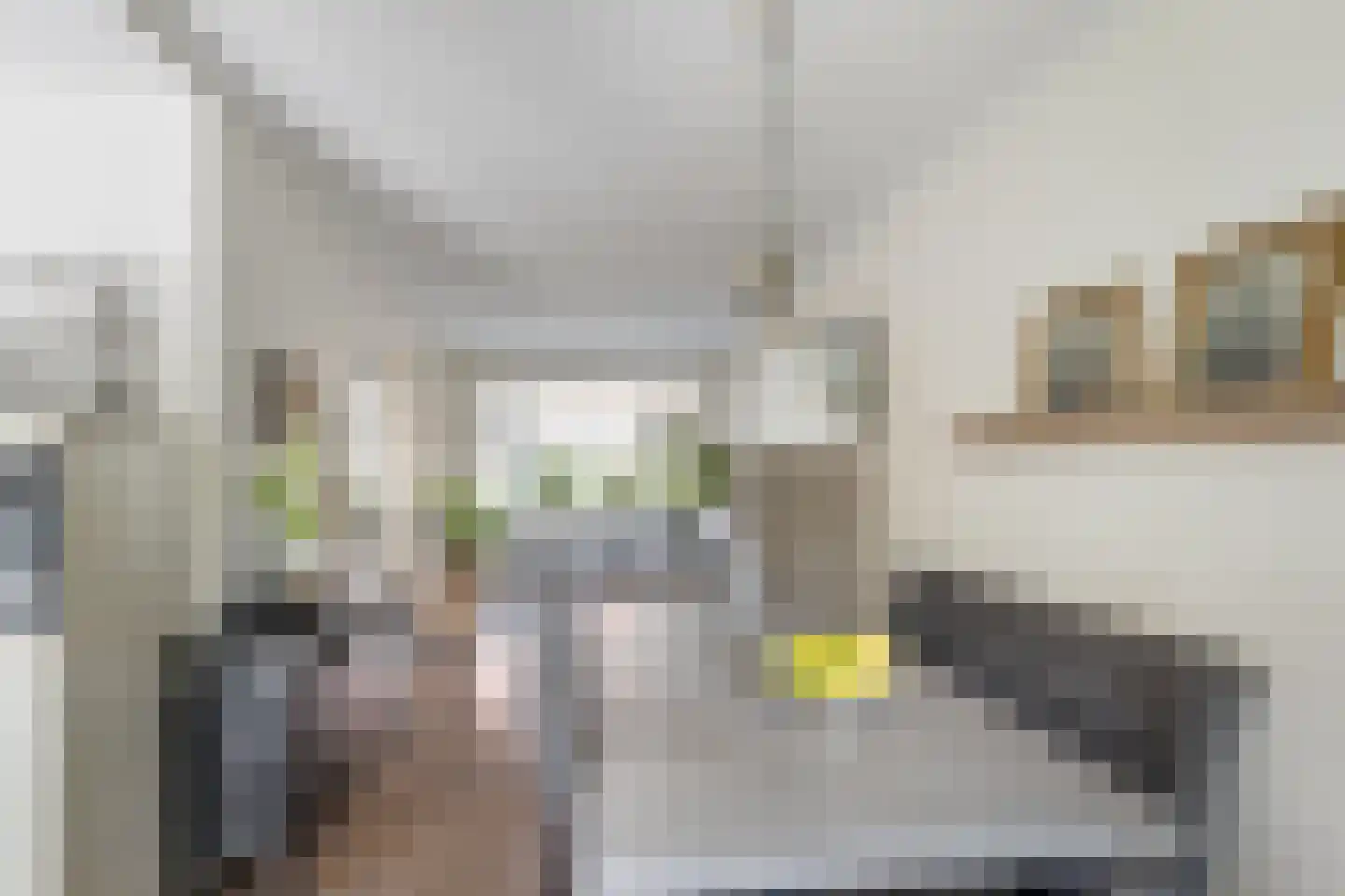 Duiventorenstraat 12 Naaldwijk thumbnail 9