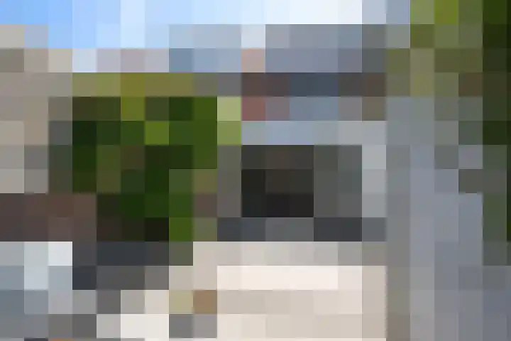 Duiventorenstraat 21 Naaldwijk thumbnail 15