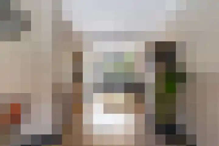 Duiventorenstraat 21 Naaldwijk thumbnail 17