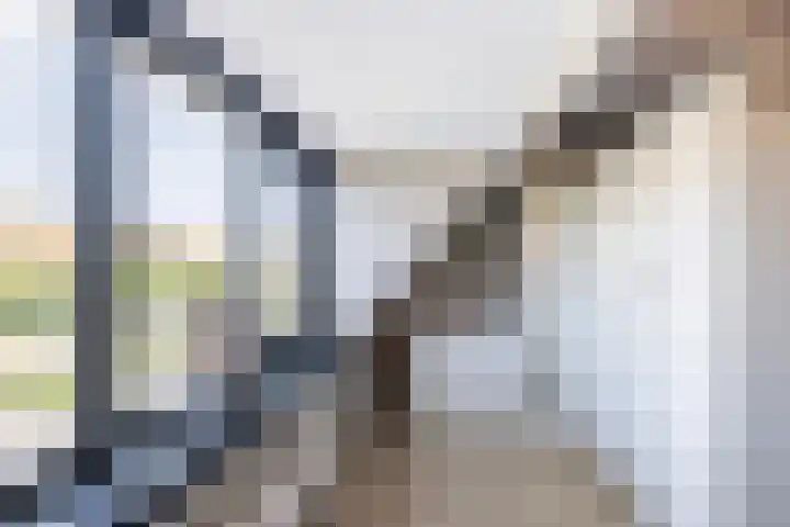 Duiventorenstraat 21 Naaldwijk thumbnail 23