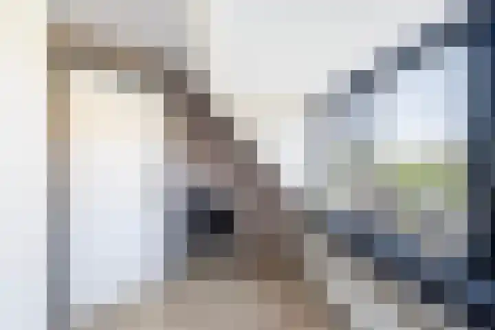 Duiventorenstraat 21 Naaldwijk thumbnail 24