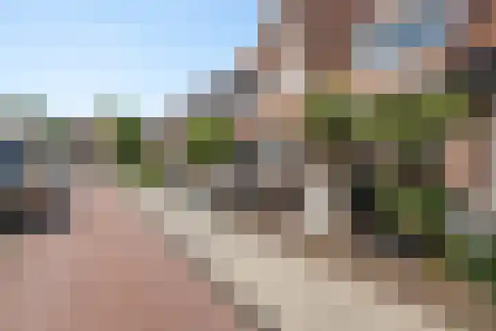 Duiventorenstraat 21 Naaldwijk thumbnail 33