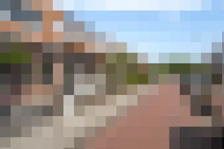 Duiventorenstraat 21 Naaldwijk thumbnail 34