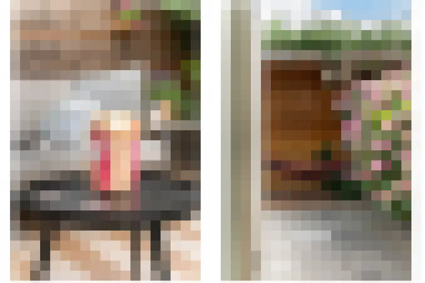Duiventorenstraat 24 Naaldwijk thumbnail 15