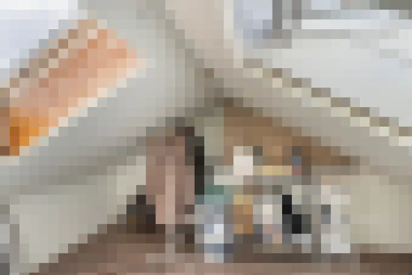 Duiventorenstraat 24 Naaldwijk thumbnail 32