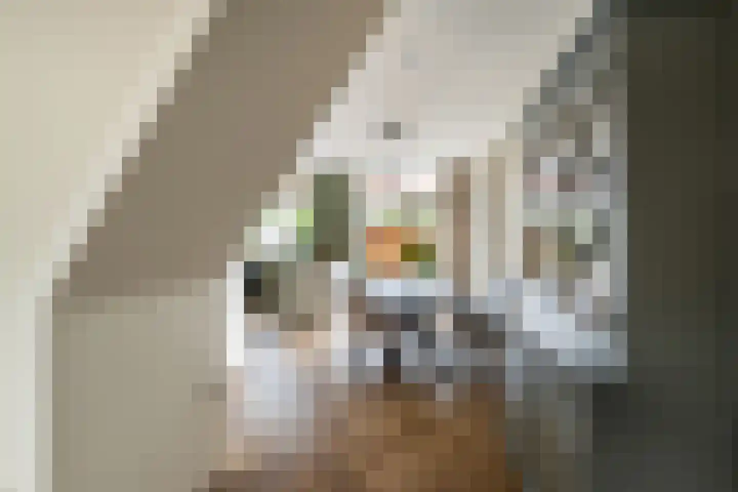Duiventorenstraat 24 Naaldwijk thumbnail 6
