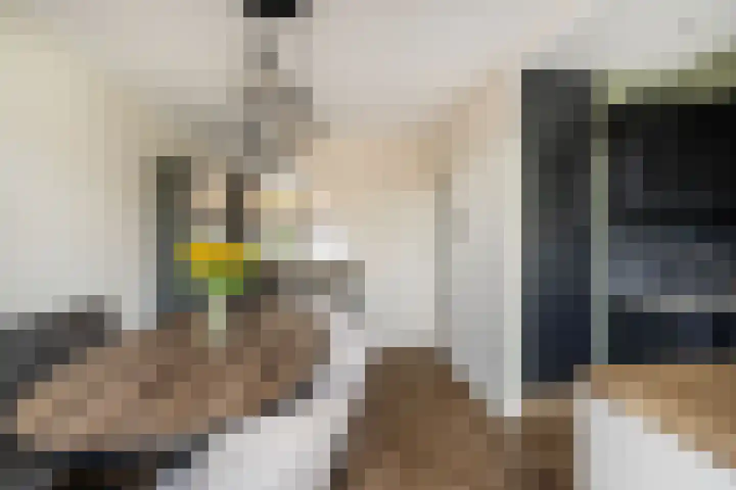 Duiventorenstraat 24 Naaldwijk thumbnail 9