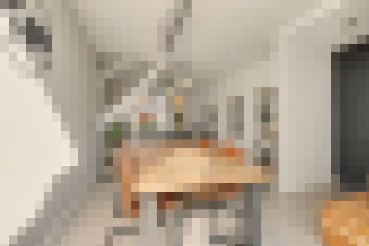 Duiventorenstraat 34 Naaldwijk thumbnail 10