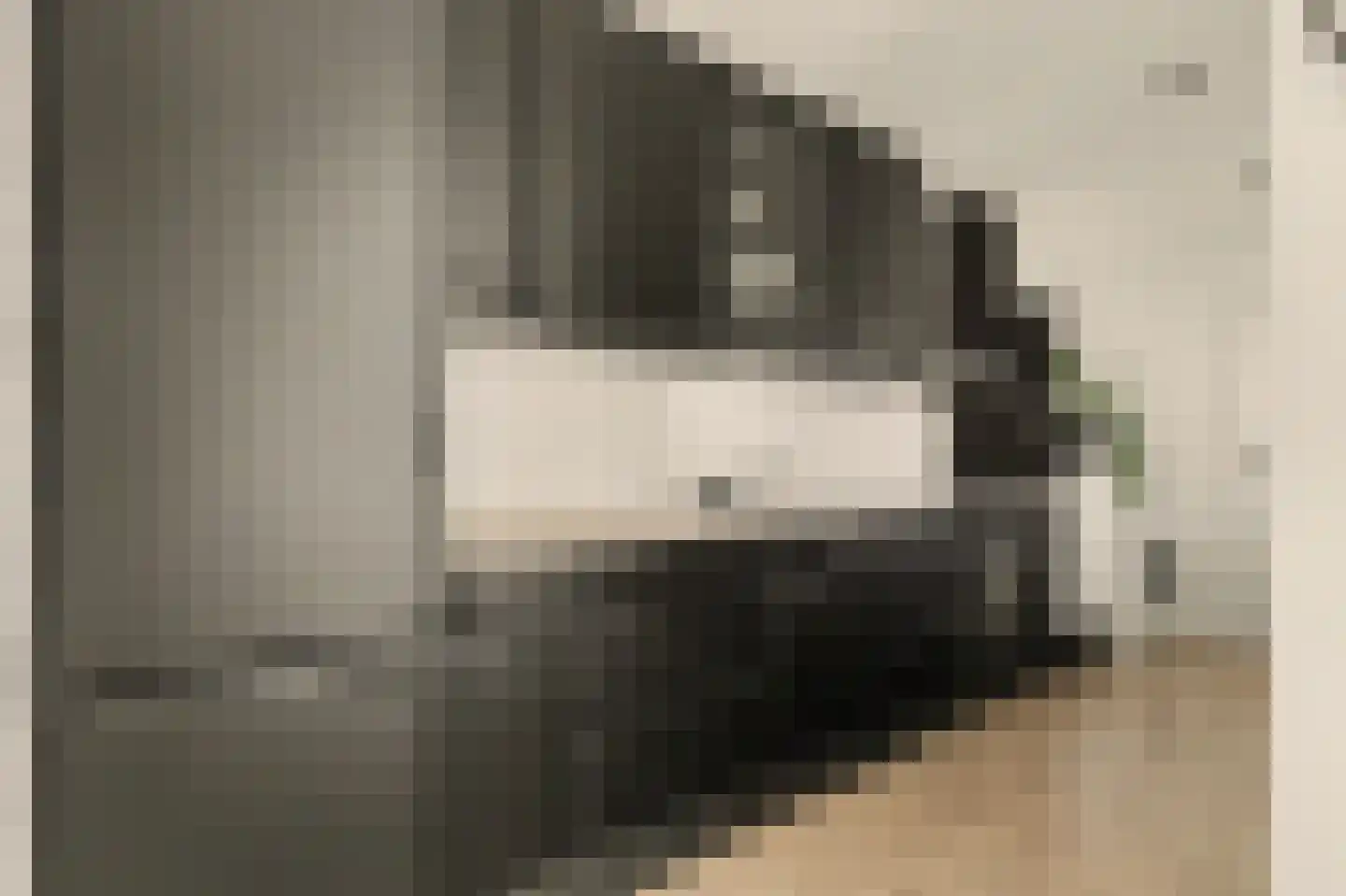 Duiventorenstraat 34 Naaldwijk thumbnail 13
