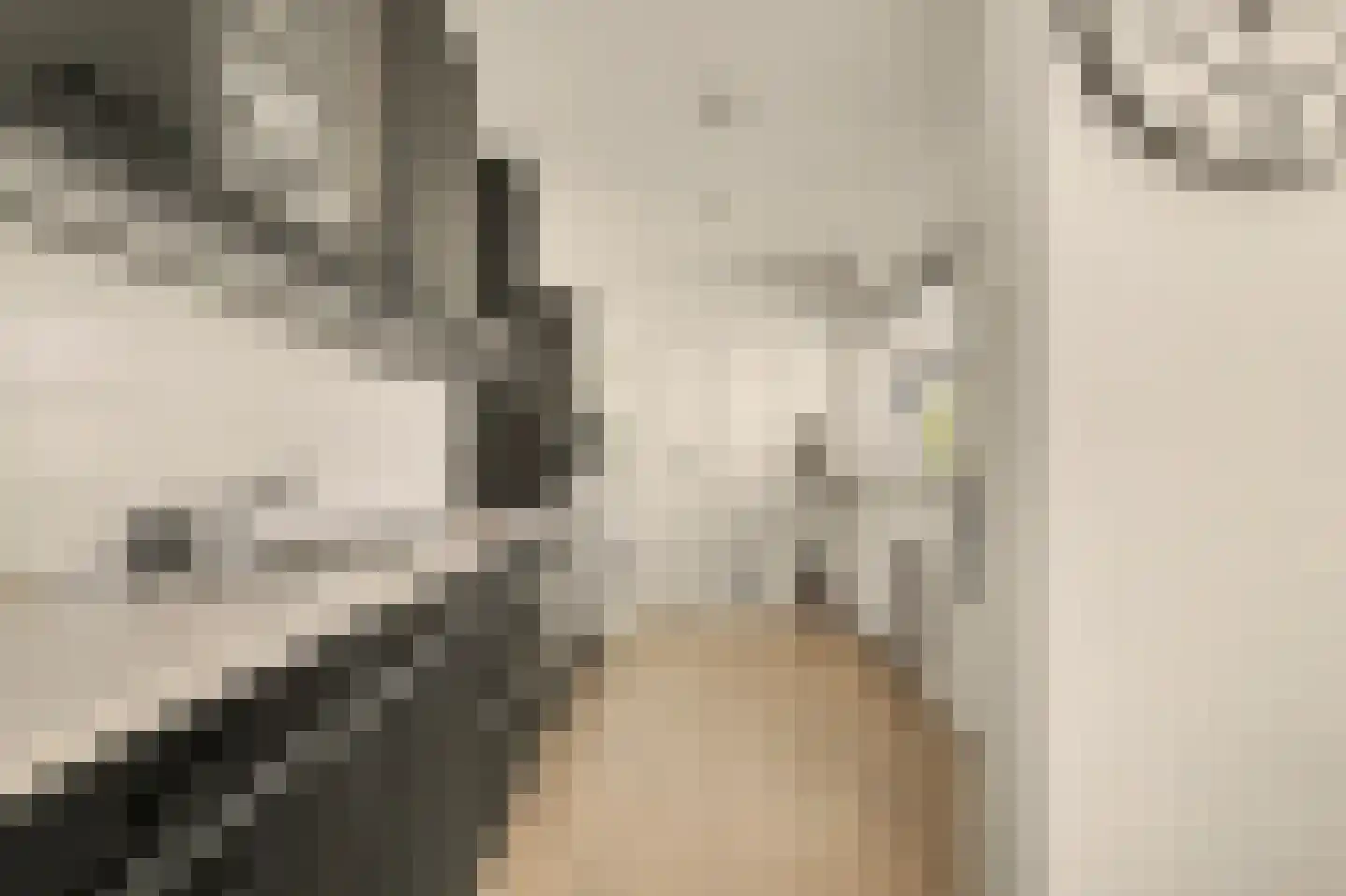 Duiventorenstraat 34 Naaldwijk thumbnail 14