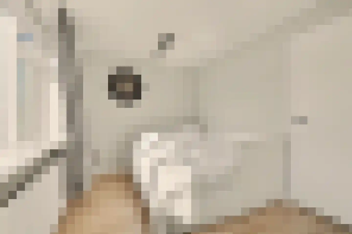 Duiventorenstraat 34 Naaldwijk thumbnail 18